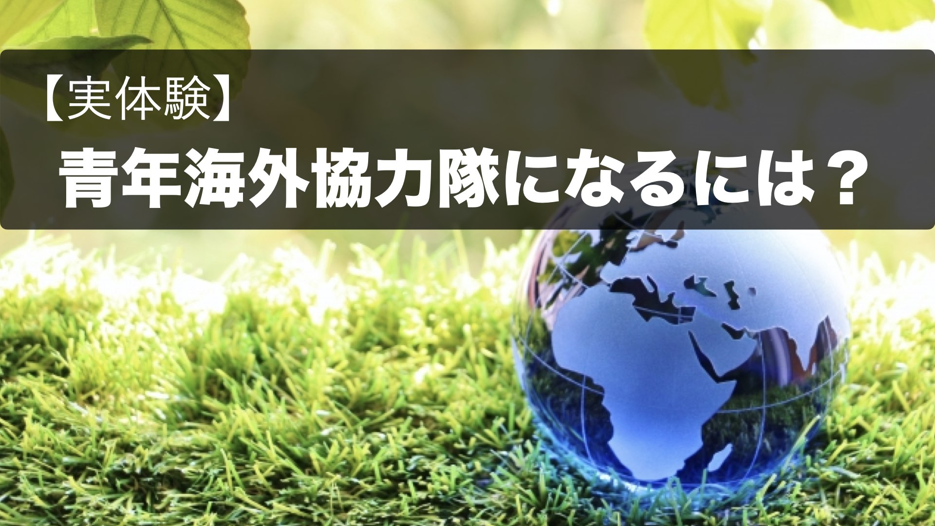 実体験】青年海外協力隊になるには？ | MS.Shine 永遠の挑戦者 